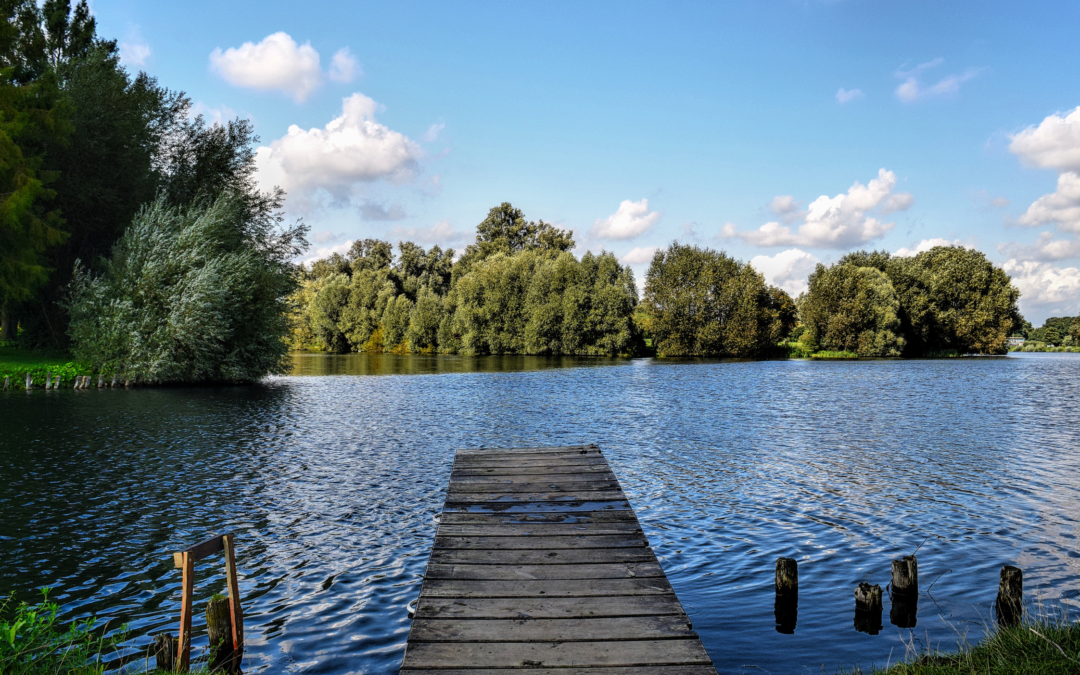 LE RESTAURANT LA TABLE DU LAC